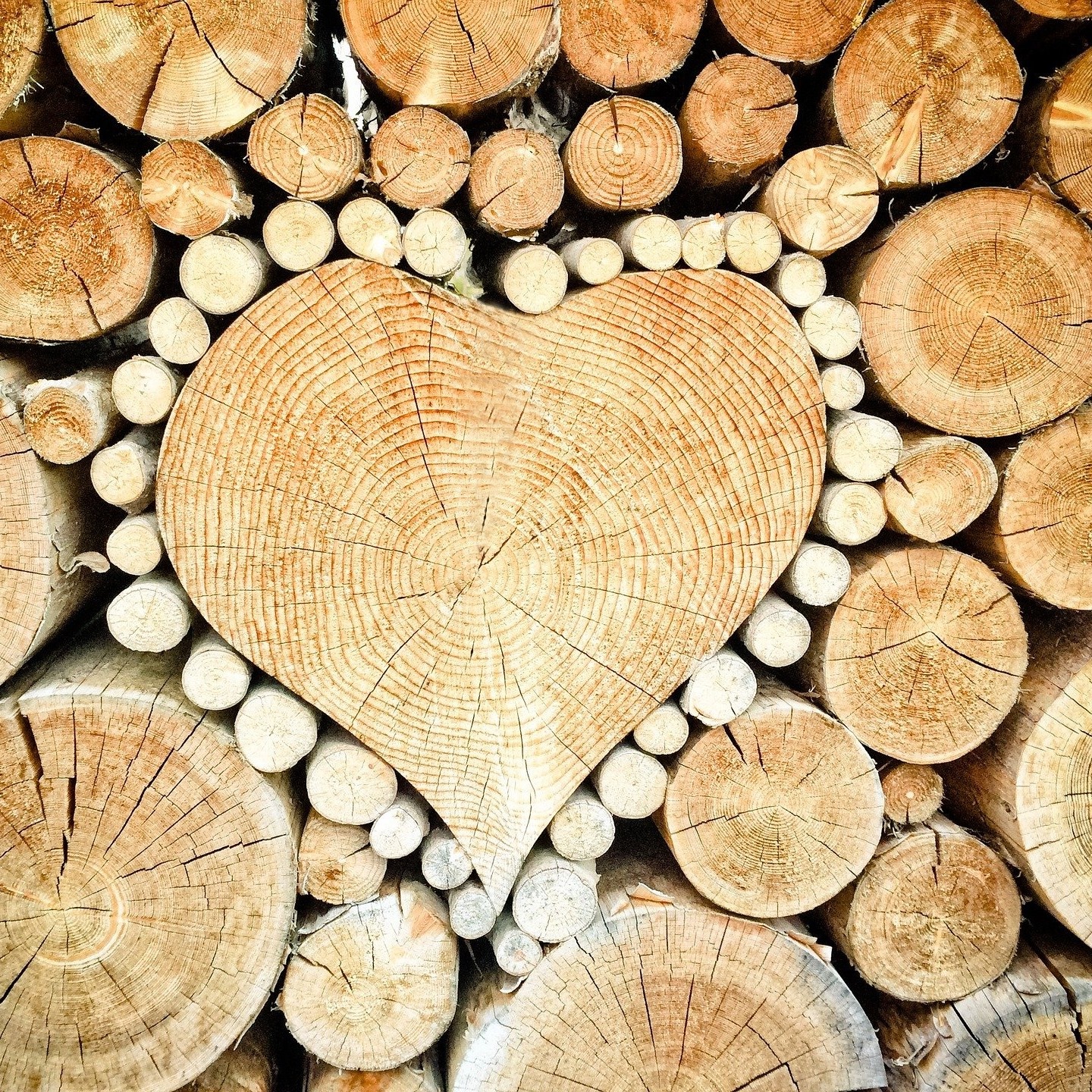 Traumhaft Schönes aus Holz (@TraumhaftSchoenesausHolz) • Facebook