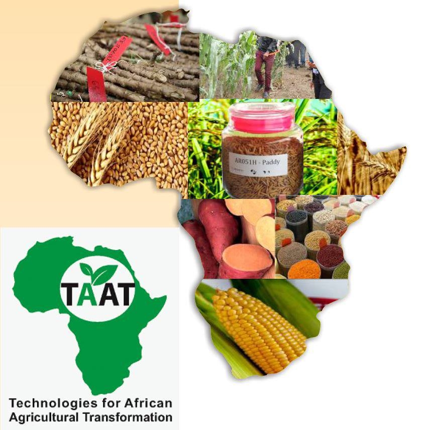 What's next for seed companies in Africa? 🤔 Find out at the webinar ...