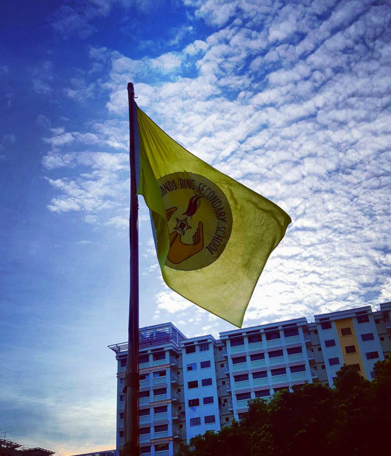 Woodlands Ring Secondary School NPCC