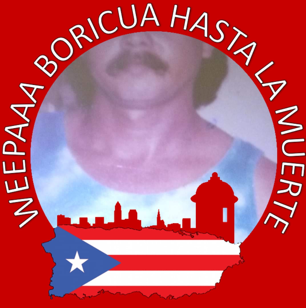 Boricuas - The Puerto Rican Paso Fino: The Rhythm of Our Ancestry The ...
