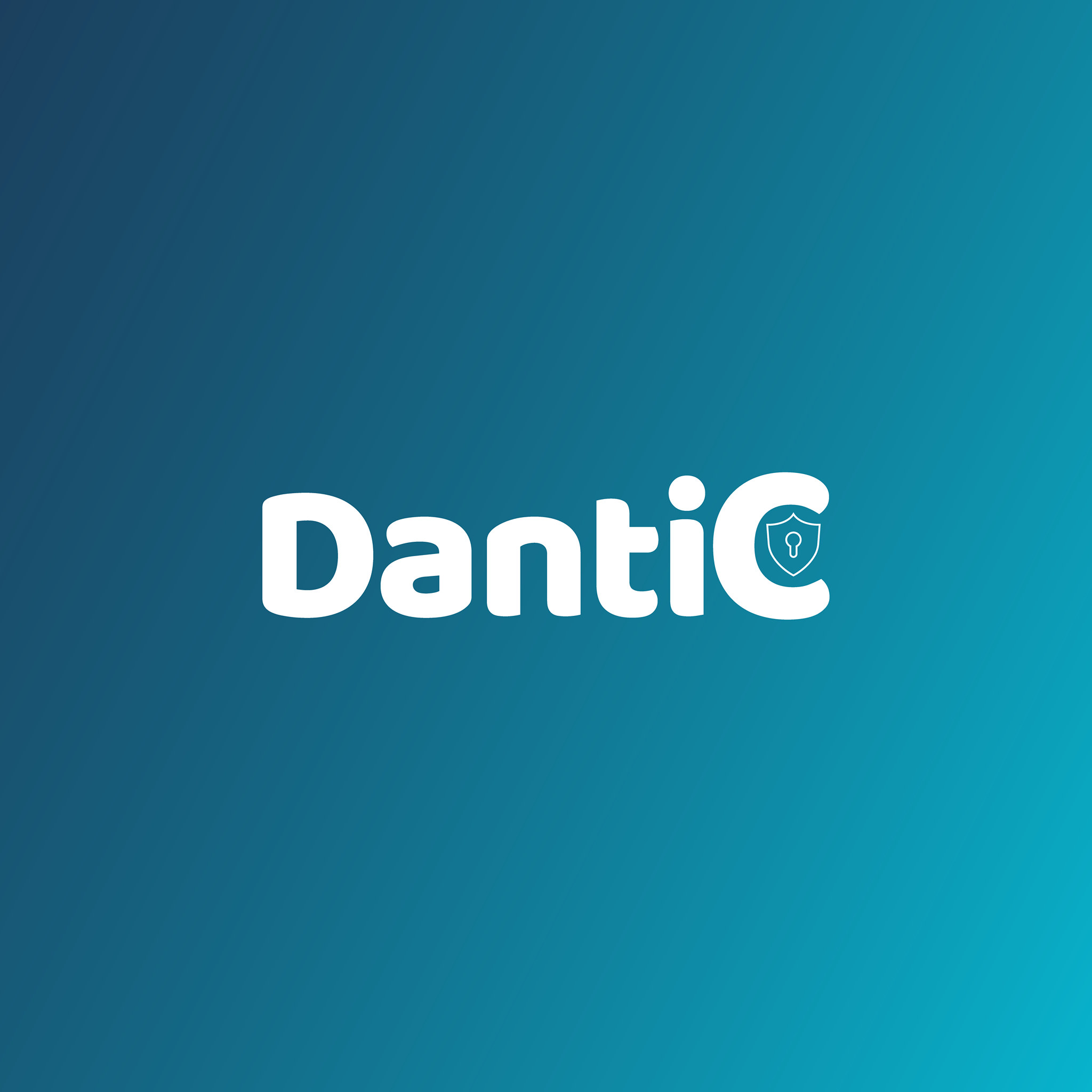 Dantic Consulting | São Paulo SP