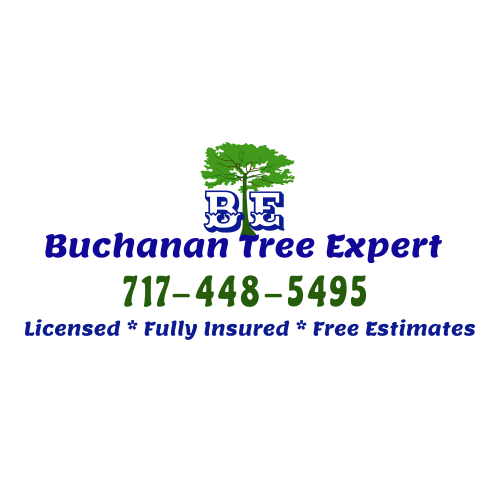 Buchanan Tree Expert LLC | Northampton PA