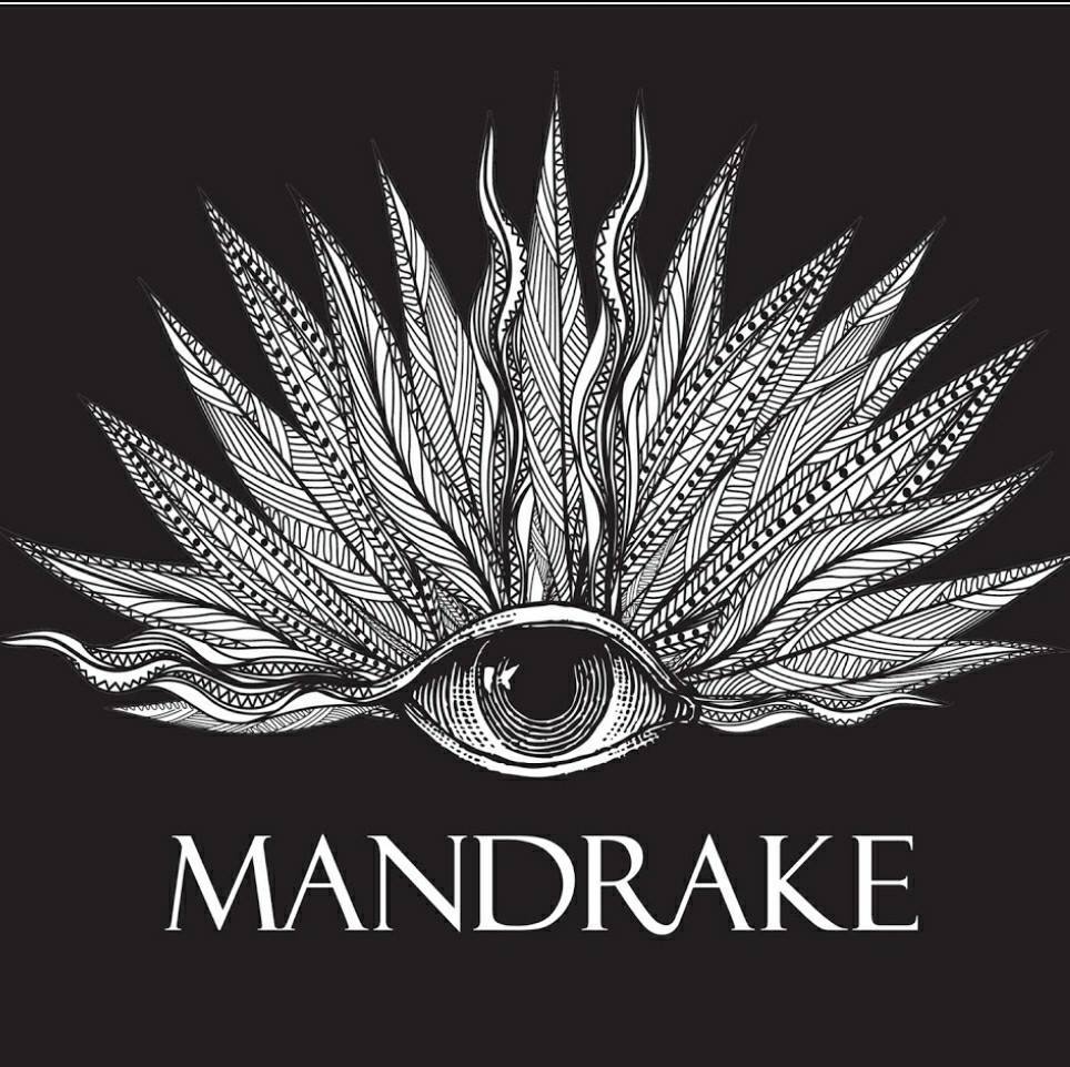 the-mandrake-hotel-join-kate-for-a-ceremony-of-sacred-sound-and-cacao