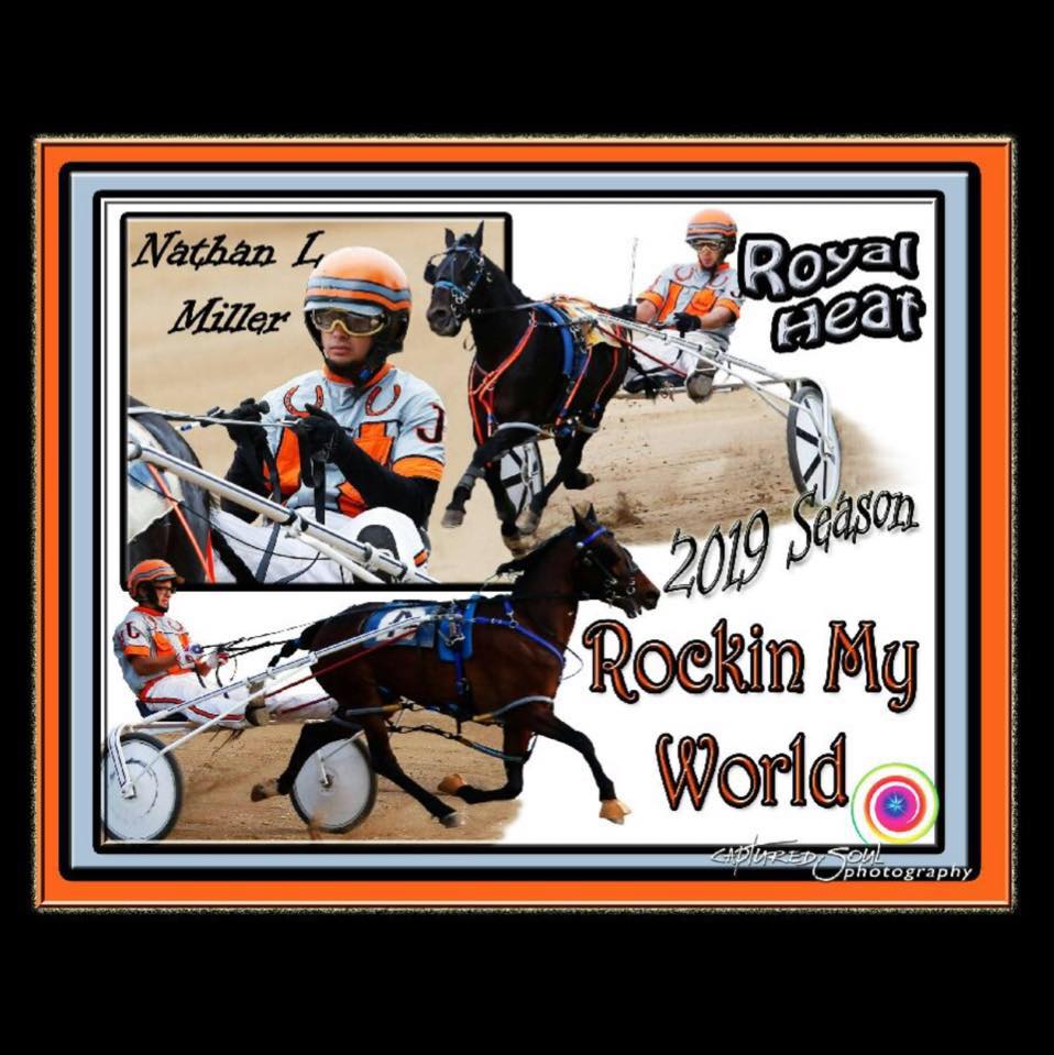 Lee’s Racing Stable’s