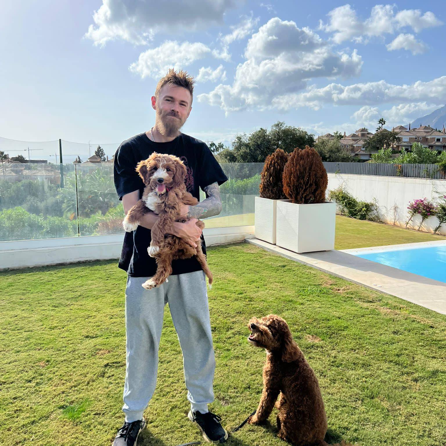 Pack Instinct dog training, rehabilitation, walking | Estepona
