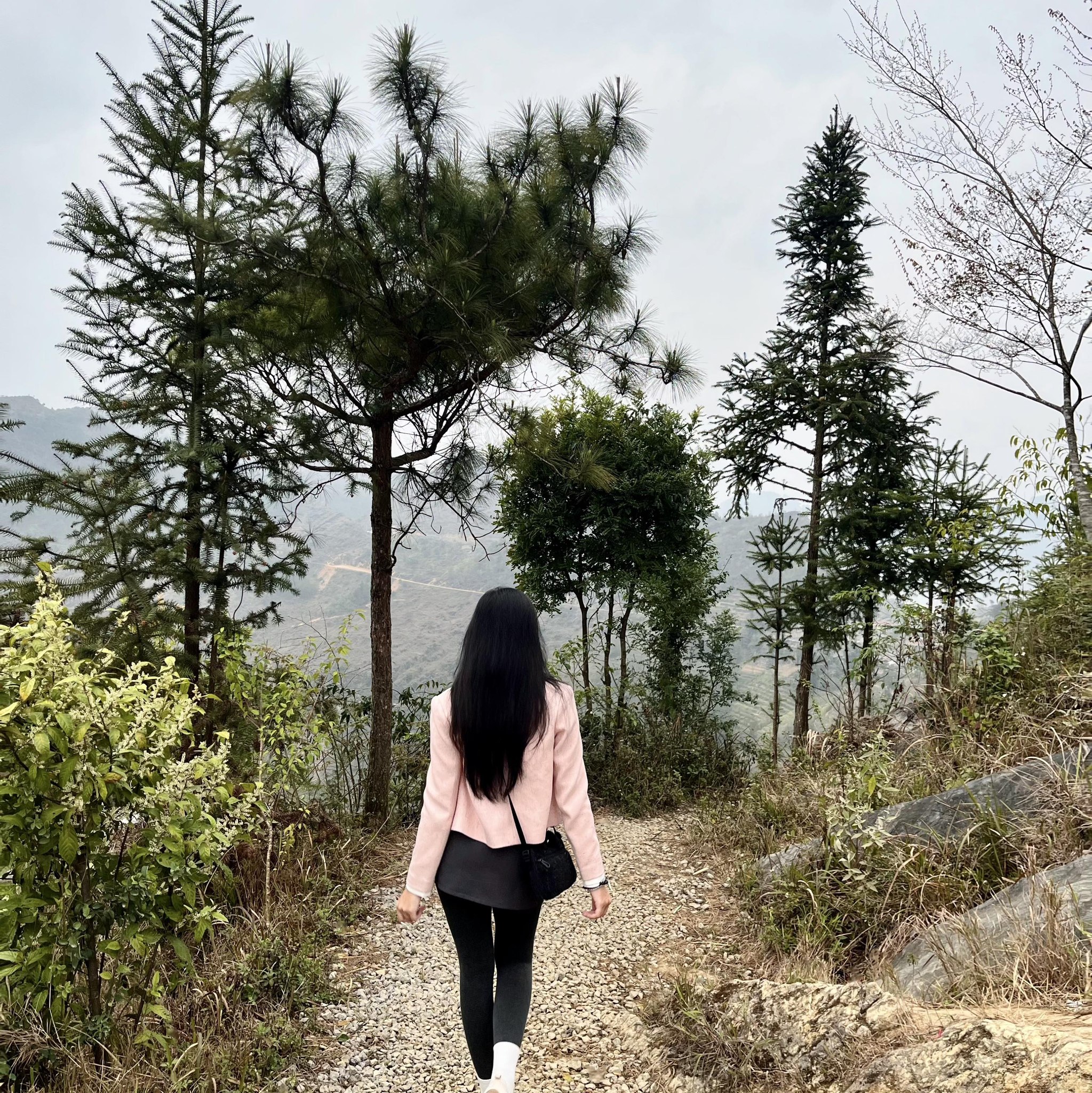 Tuyển Dụng AI, Data Scientist, Machine Learning Engineer | **VỊ TRÍ: KỸ ...