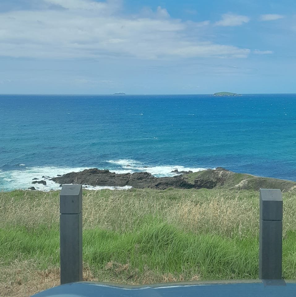 Lucas Mill - Operators Club | Ok tree id time. North coast nsw | Facebook
