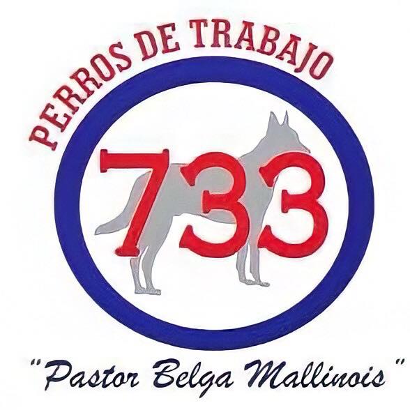 Perros de Trabajo 733 | Sánchez Román