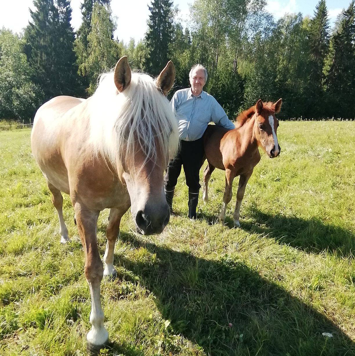 Vanhat taikka Uudet Ravi/Ratsu kuvat ja jutut | V.T. Ajatus ...