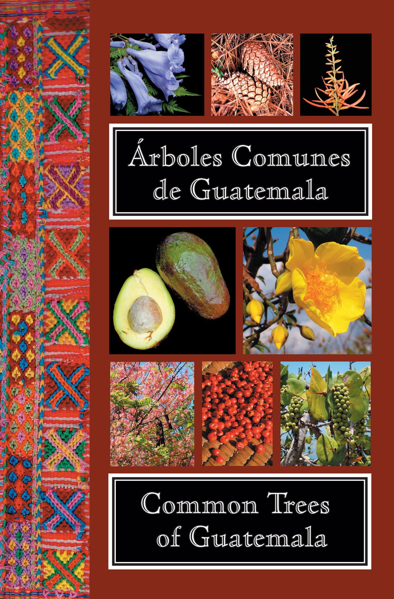 Common Trees of Guatemala - Árboles Comunes de Guatemala