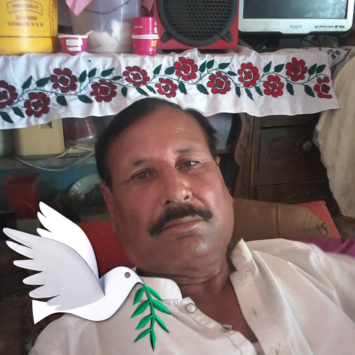 abdull-hameed-on-reels
