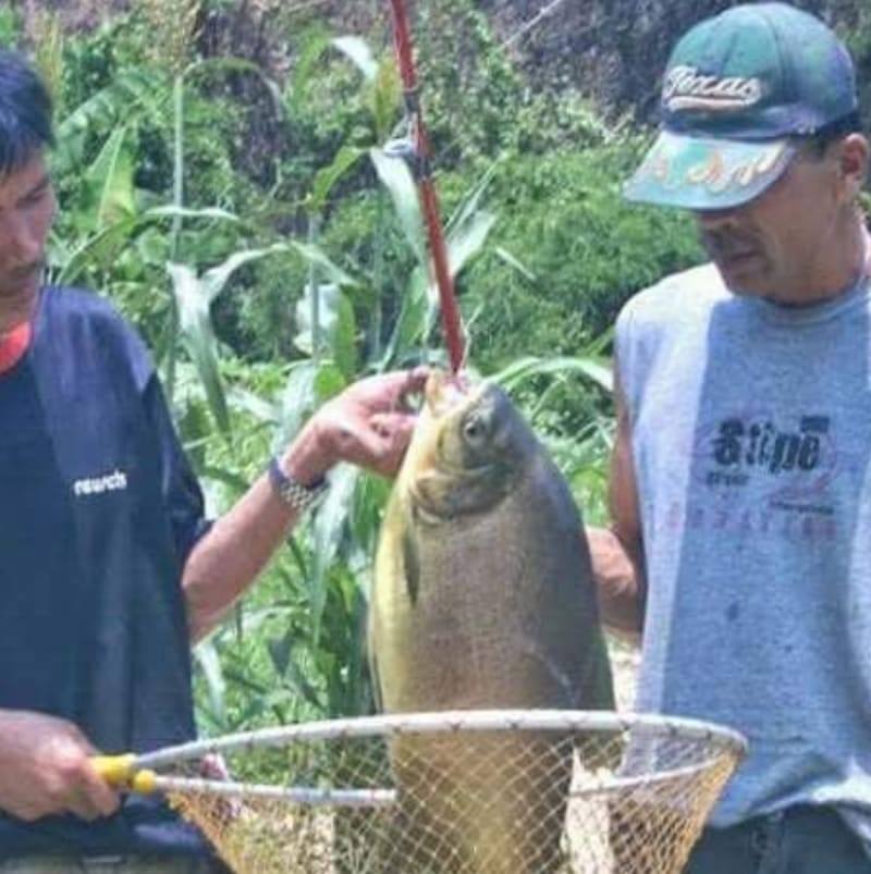 บ่อตกปลาต้นน้ำวัง : Mae Wang River Creek Mini Fishing Park. added a new ...