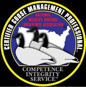 Stalk And Awe Geese Management Services | Springboro OH