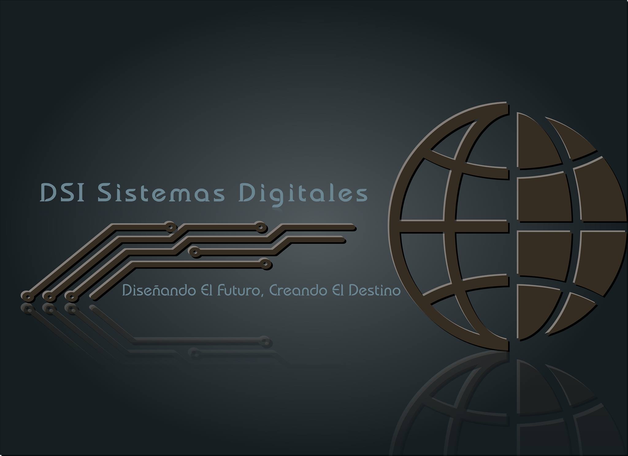 DSI Sistemas Digitales