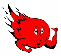 South Portland Red Riots Varsity Basketball