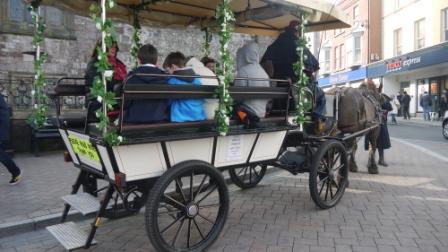 Tenby Carriage rides