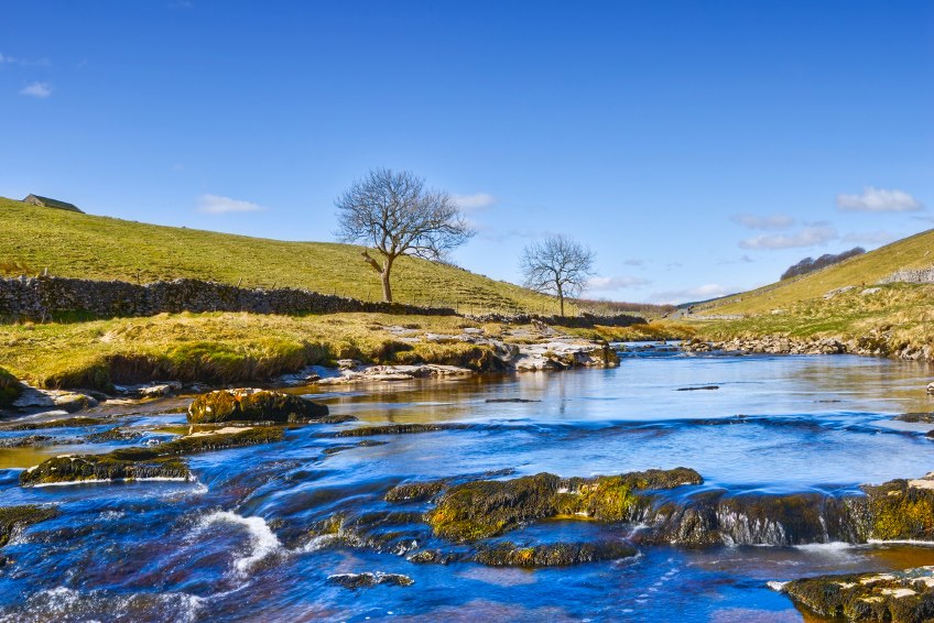 Yorkshire Native Guide Tours