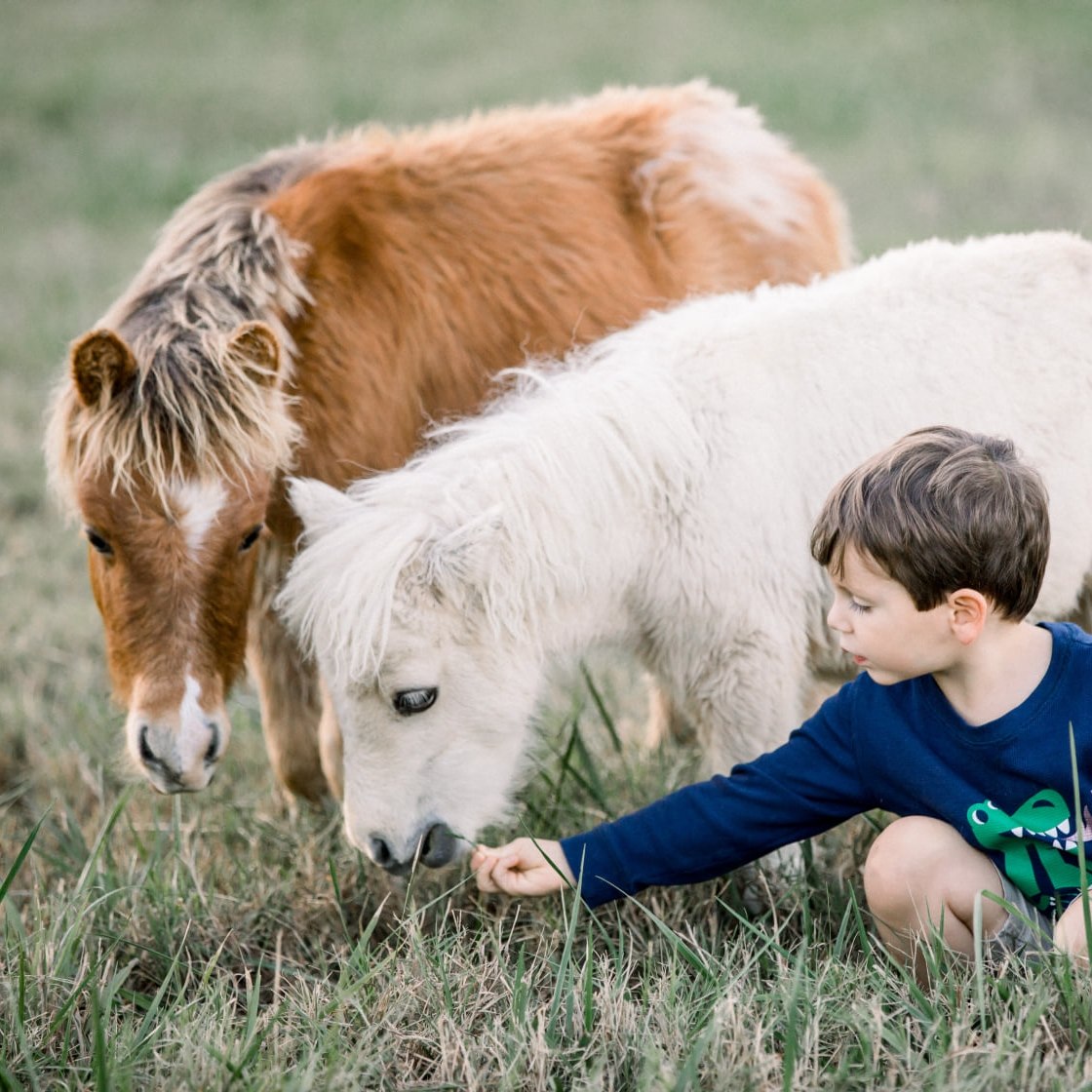 The Stables at Riesen Ranch | Senoia GA