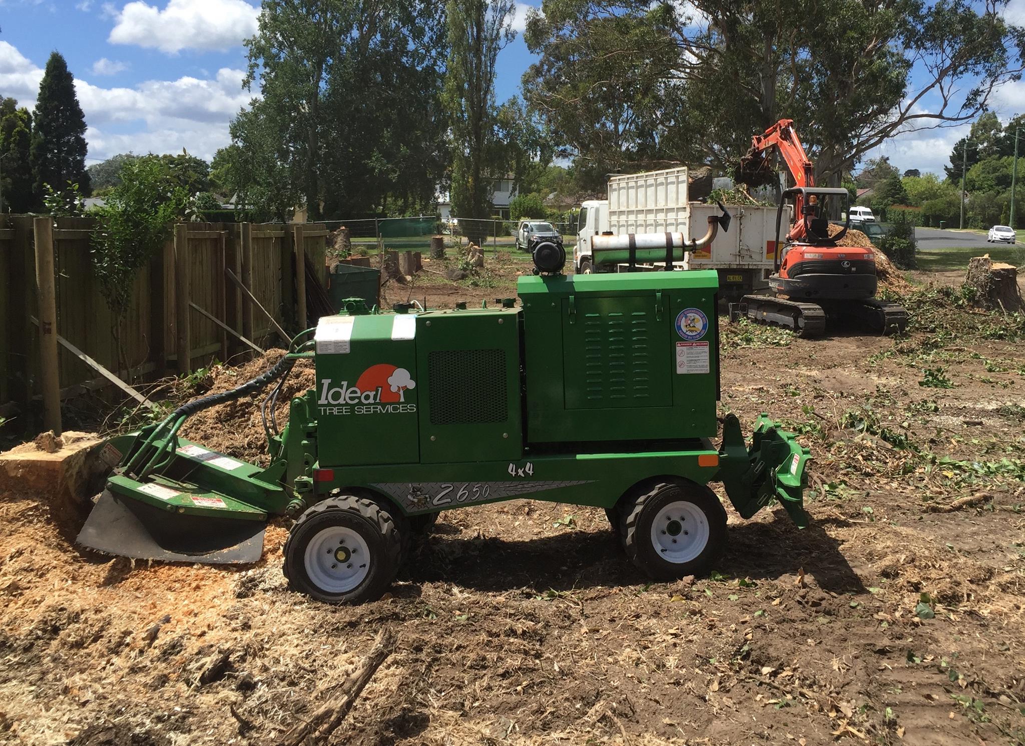 Ideal tree services 0418293951
