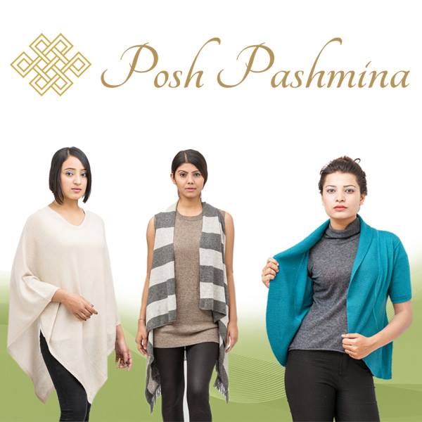 Posh Pashmina Collection