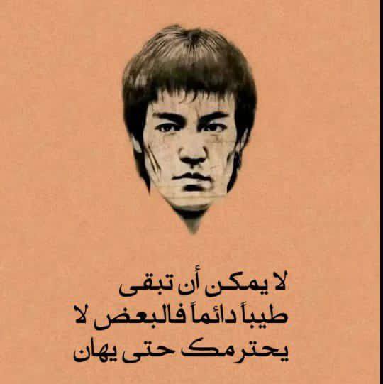 العثور على طائر غريب الصحراء | البرية