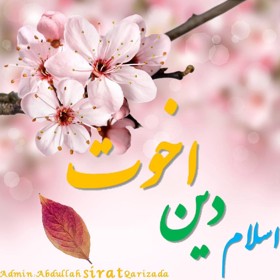 اسلام دین اخوت