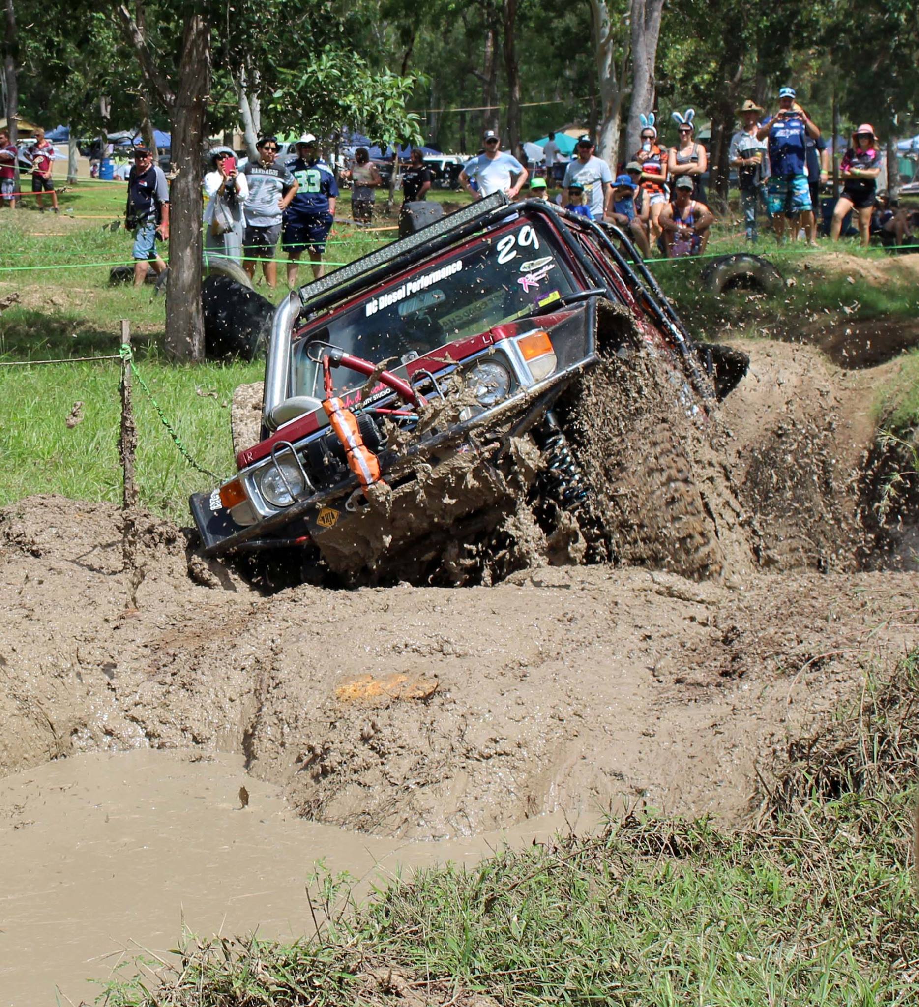 Red Dog Racing