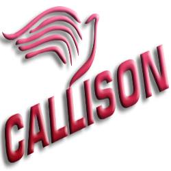Callison Appliance & Air | Fountain Hills AZ