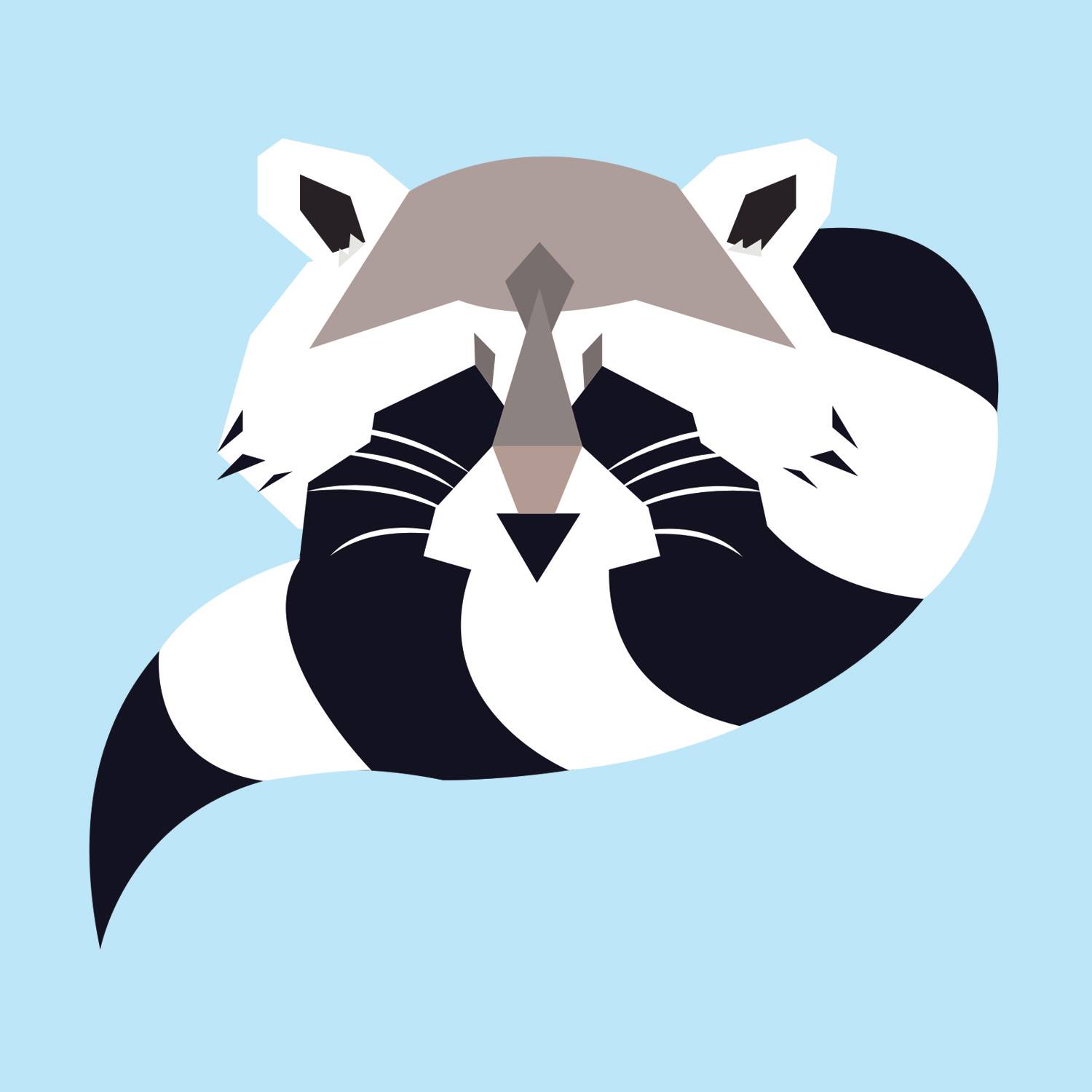 Hello Raccoons