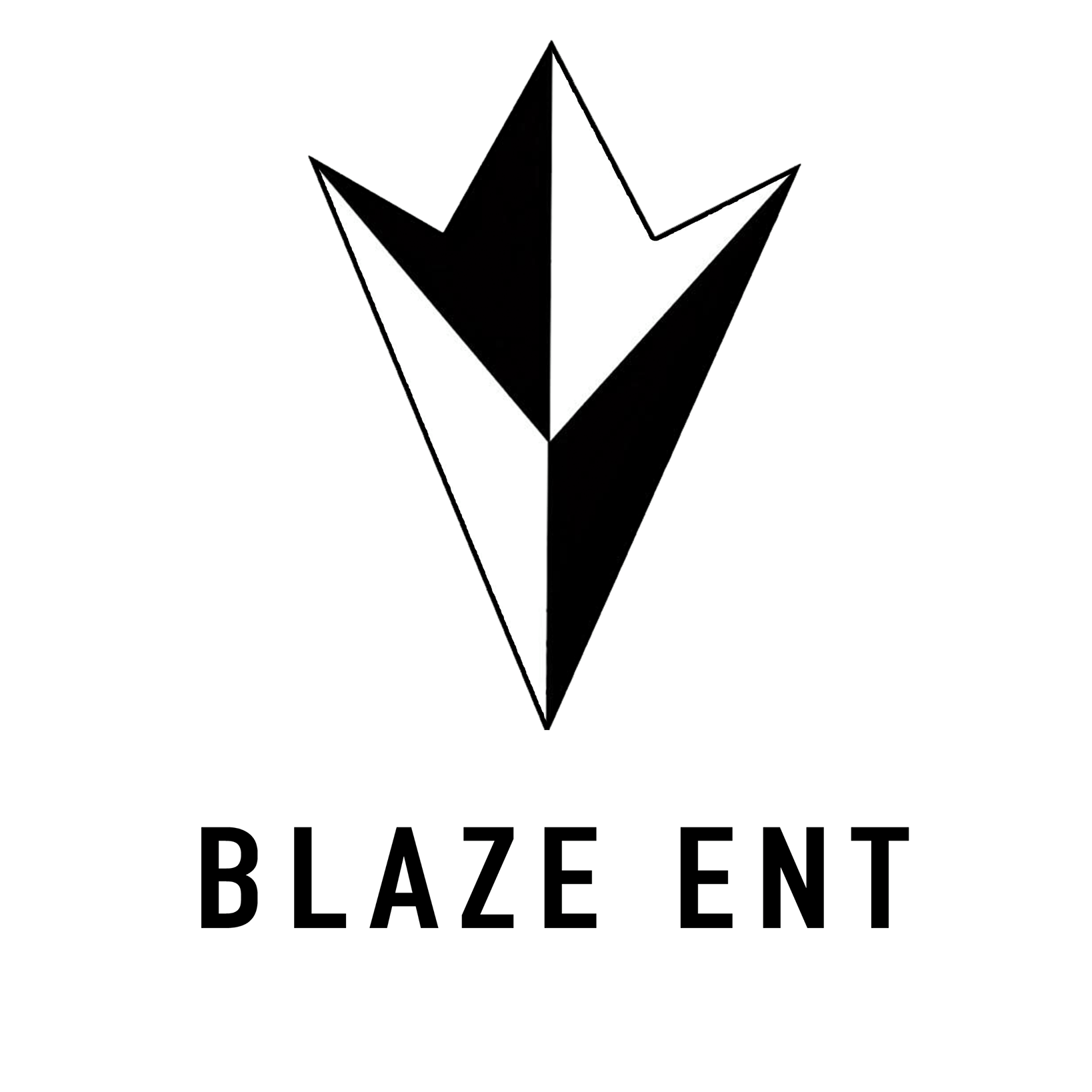 Blaze Entertainment (@BlazeEventsENT) • Facebook