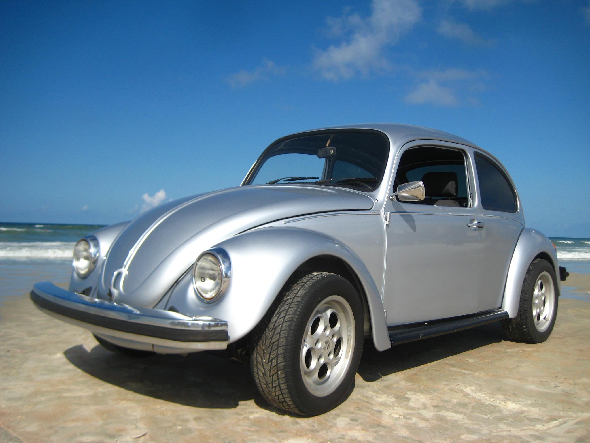 Jason's Bug Ranch | Winter Garden FL