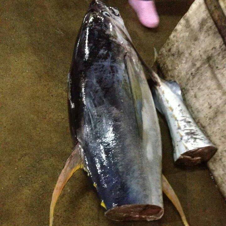 Del-nor fishconsignment | Dagupan City