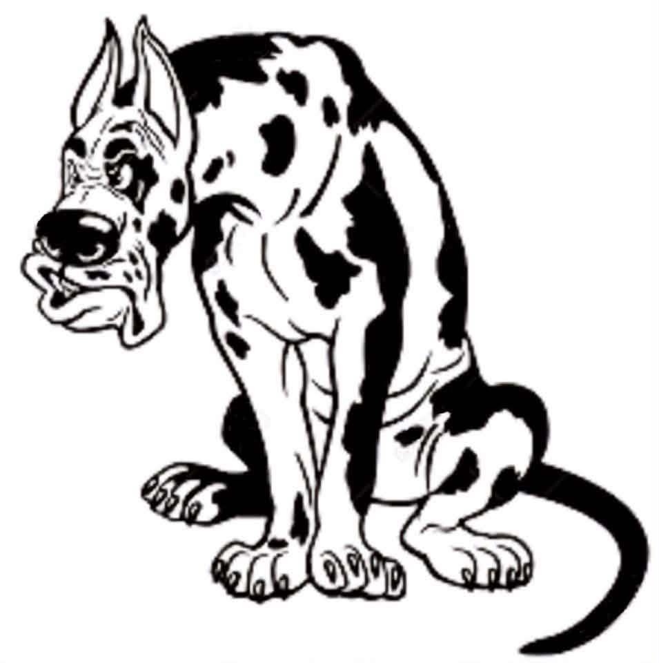 🎃🐾SCARY GOOD SAVINGS ARE HAPPENING NOW AT BAD DOG FLOORING! 50% OFF ...