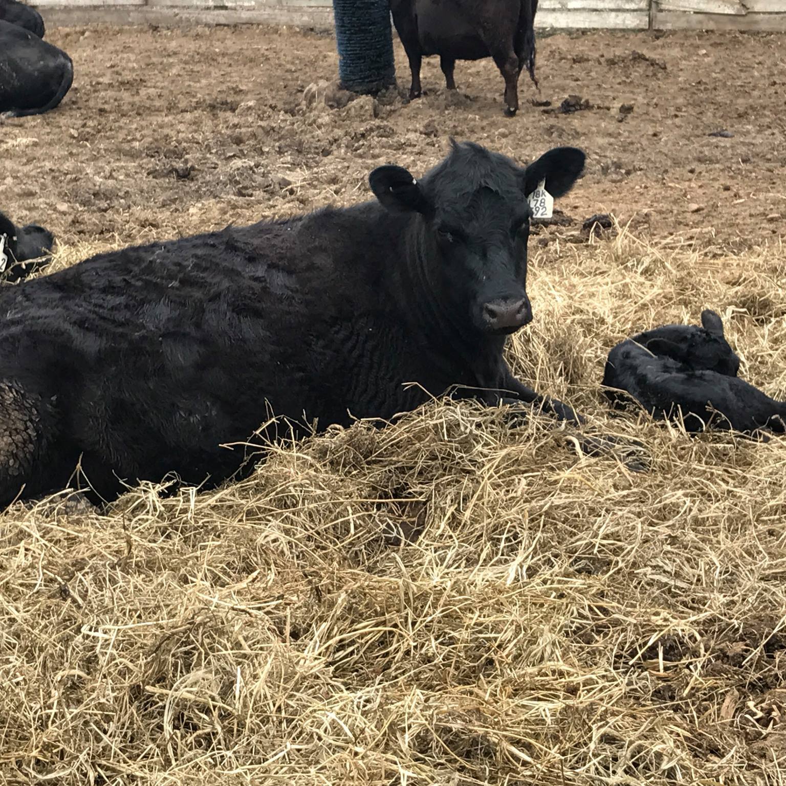Hanappe Ranch | Northfield MN