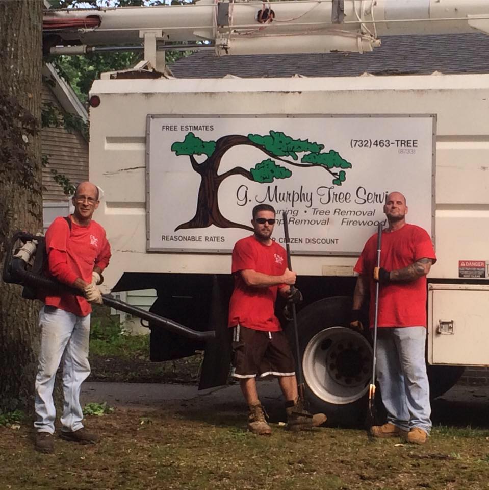 G. Murphy Tree Service, Inc. | Bayville NJ