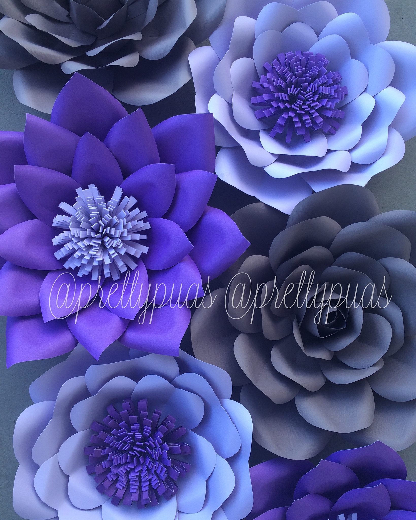 Pretty Pua Designs