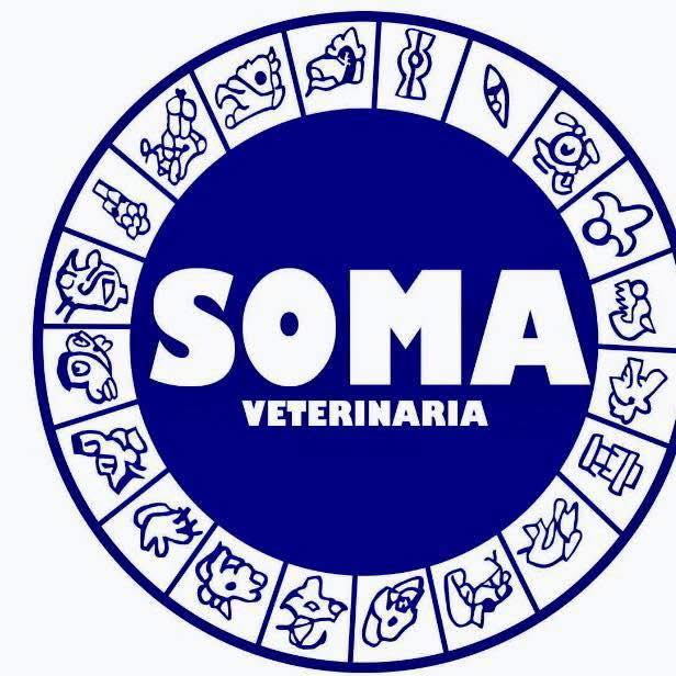 SOMA Clinica Veterinaria Sustentable