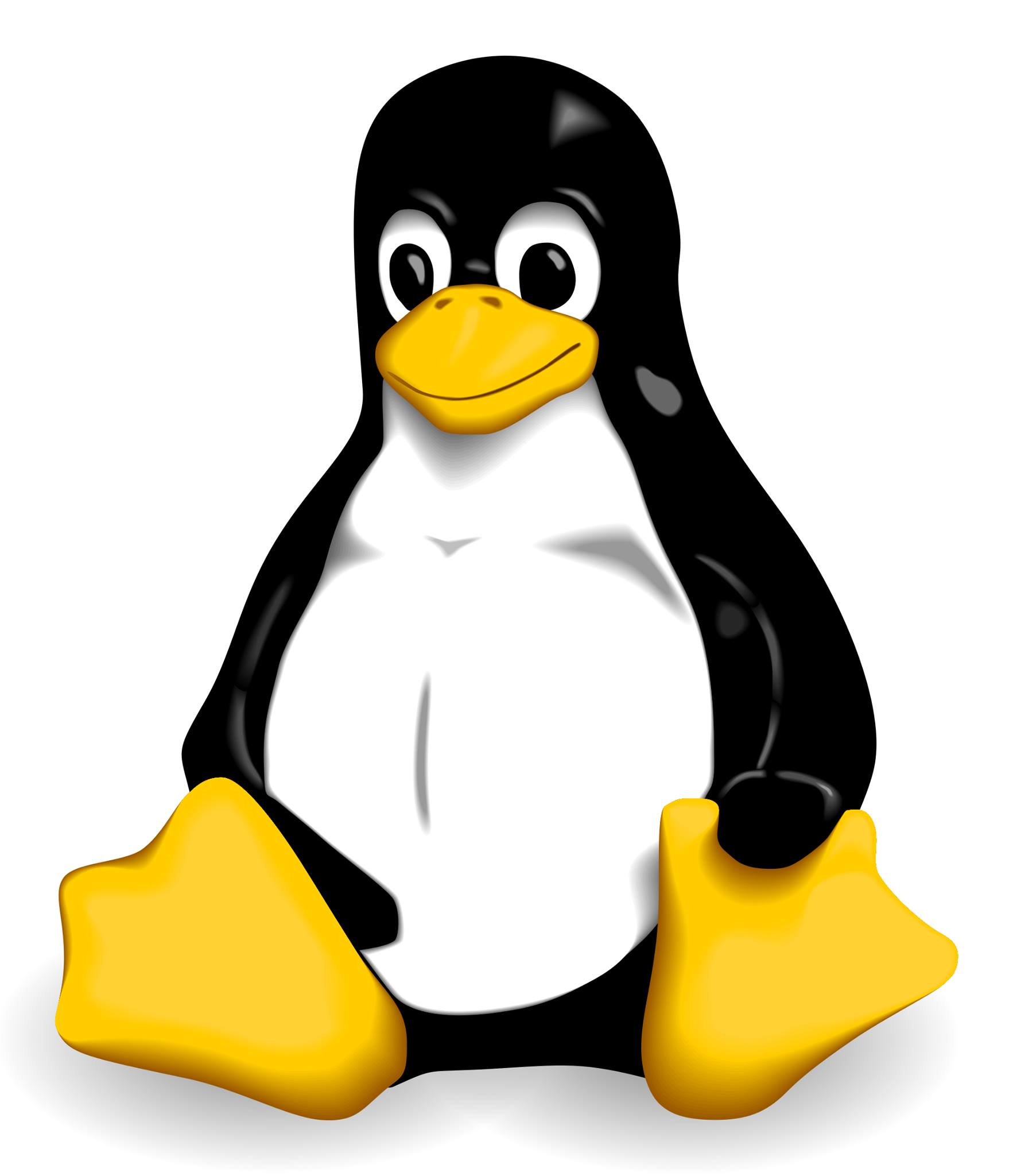 Il Processore Linux Point | Schio