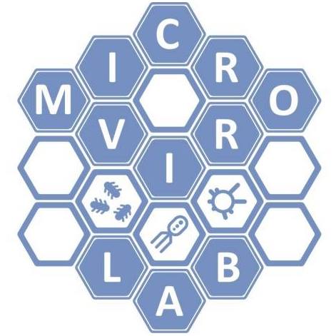 Microvir | Siena