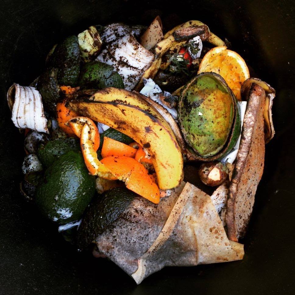 The Compost Revolution