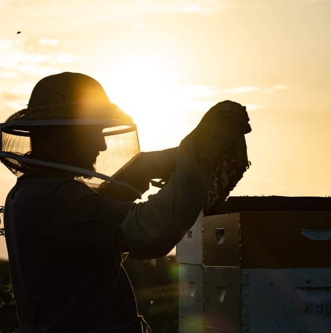 Waterloo Ridge Farms | Dorchester IA
