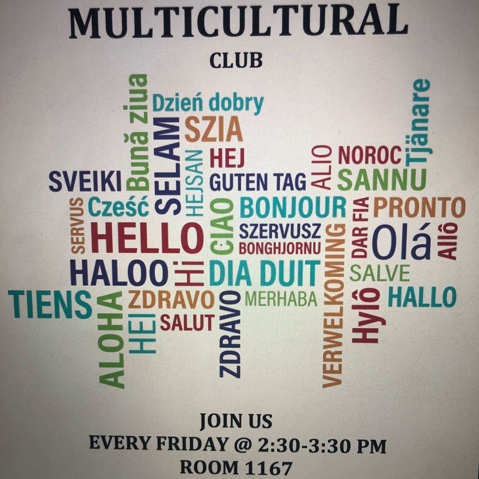 Multicultural Club in DCCC | Media PA