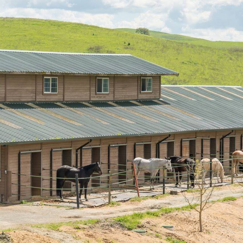 Flying J Ranch | Danville CA