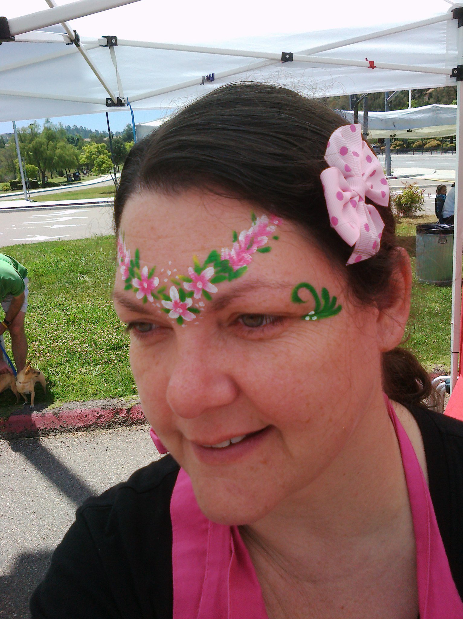 San Diego Face Painting