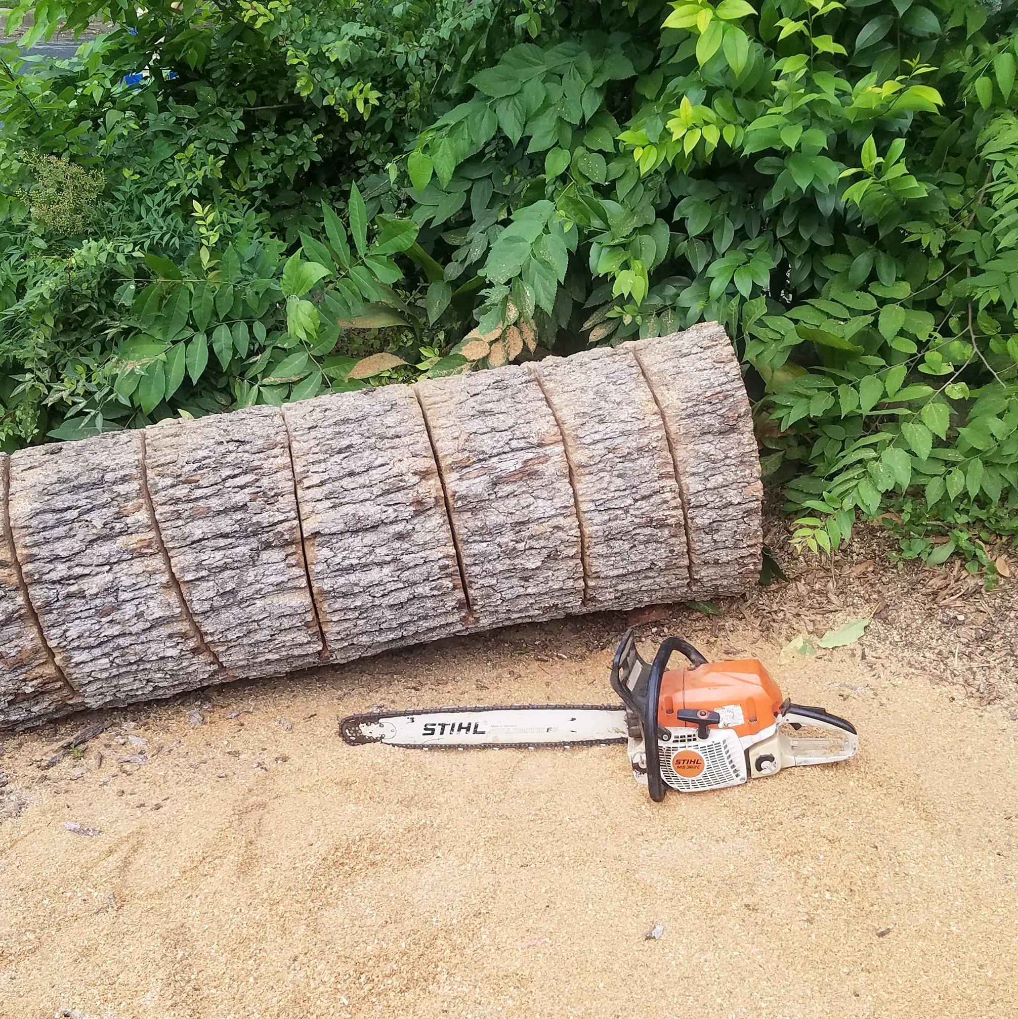 Jose Tree Services | Austin TX