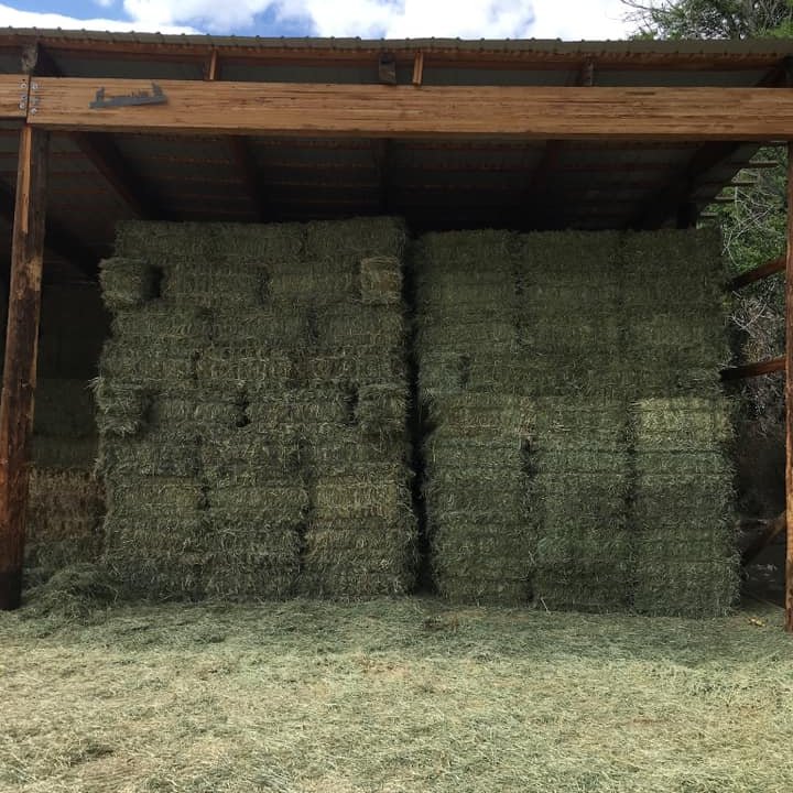 Clear Springs Ranch | Fountain CO