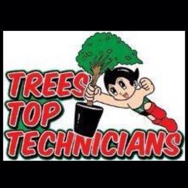 Trees Top Technicians | Portland VIC