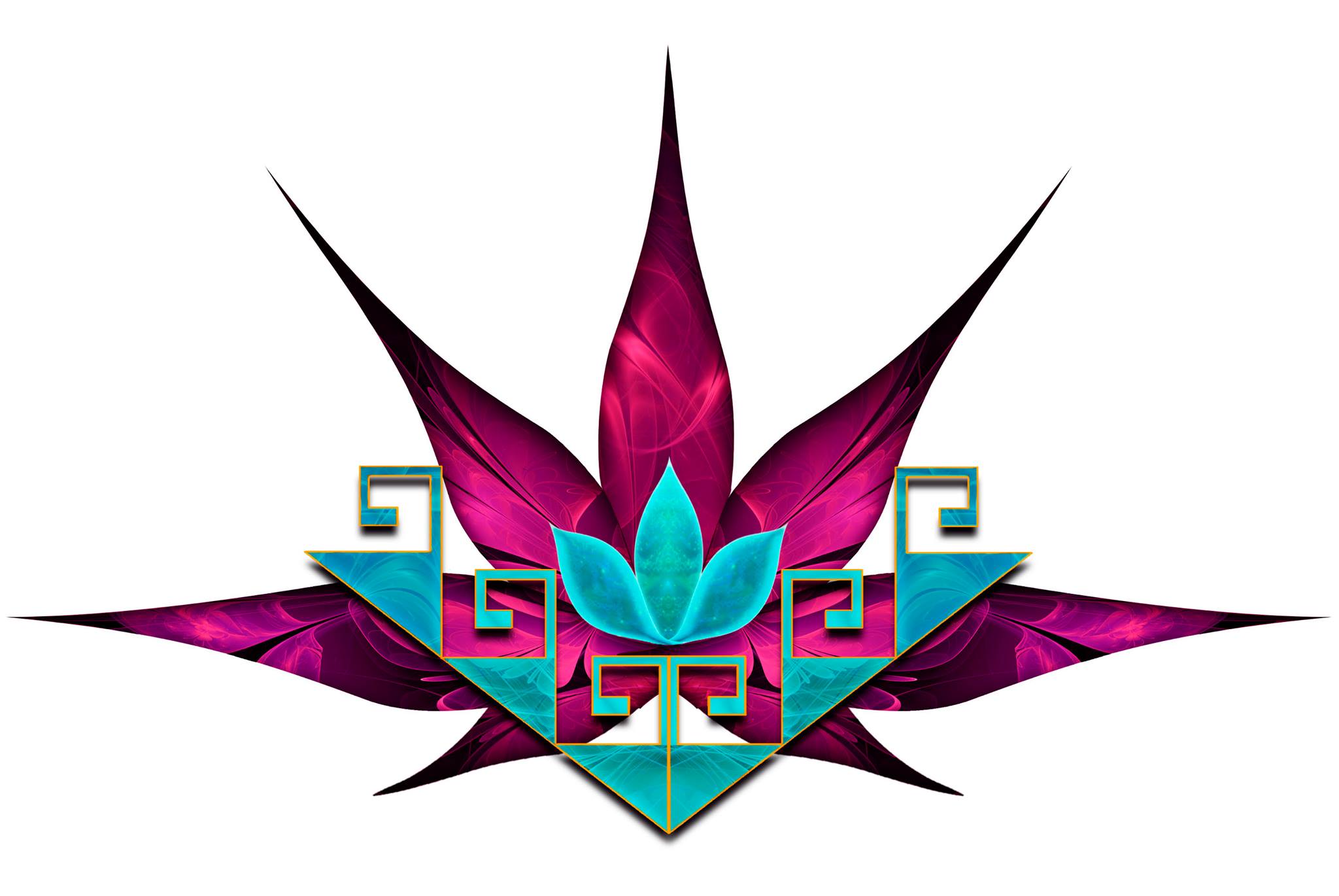 Mini-Z World Community | my ‘street’ version, no advertising | Facebook