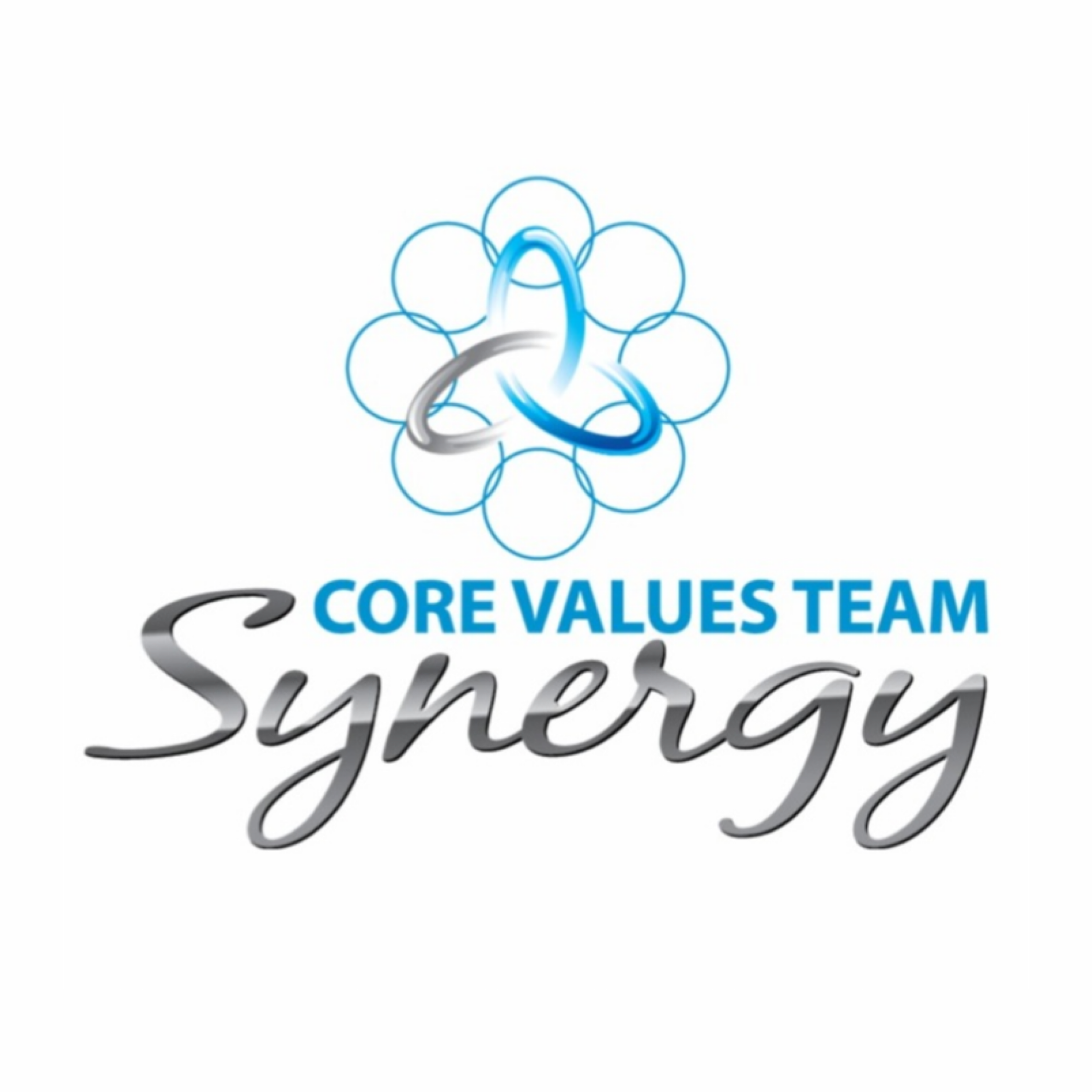 Synergy Core Values Team
