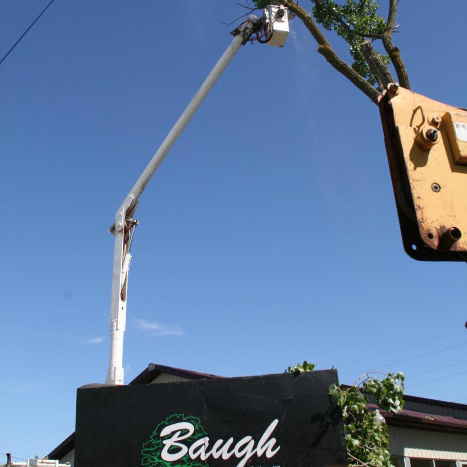 Baugh Tree Service | Carthage MO